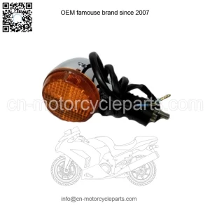 Right Rear Turn Signal 99-03 VT600 VLX, 01-03 VT750 DC Spirit Honda