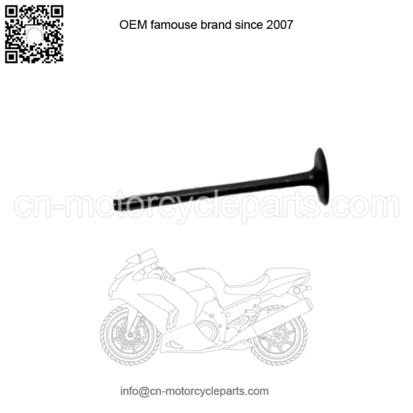 2008 - 2012 KAWASAKI NINJA 250R INTAKE VALVE New 12004-0749