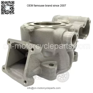 KAWASAKI ENGINE CYLINDER 11005-0626 11005-0758 fit 2014 - 2021 KX100