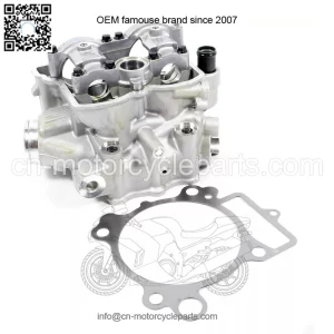 KAWASAKI CYLINDER HEAD & GASKET 11008-0788 fit 2011 - 2012 KX250F KX 250
