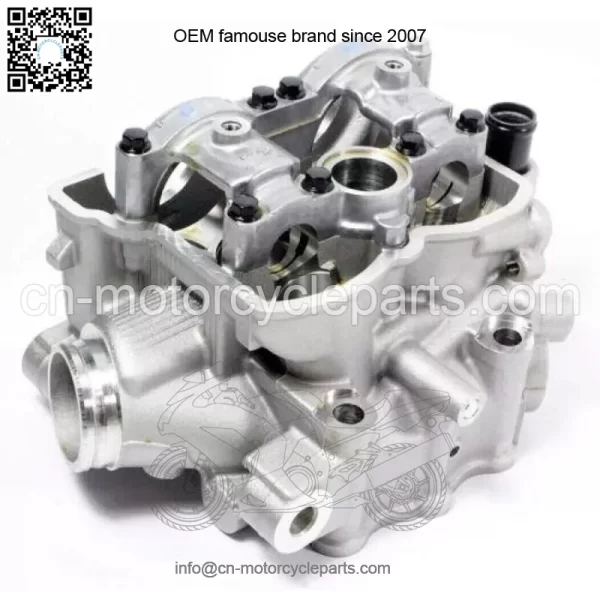 Kawasaki 2009-2010 KX250F Cylinder Head New 11008-0191