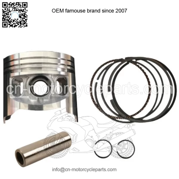 2002-2009 KAWASAKI KLX110 PISTON KIT COMPLETE (PISTON, PIN, RINGS, CIRCLIPS)