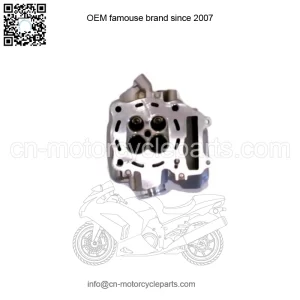 NEW HONDA OEM CYLINDER HEAD 2007-2009 CRF150R 12200-KSE-670