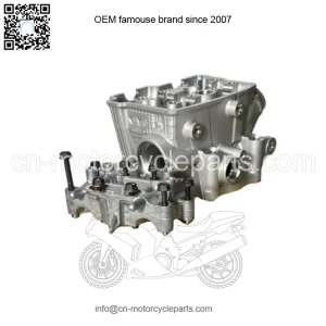 Honda 2022-2023 CRF250R CRF250RX Cylinder Head 12010-K95-AA0