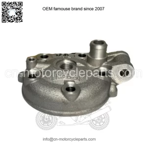 Kawasaki 1998-2013 KX100 Head Cylinder 11001-1463 New