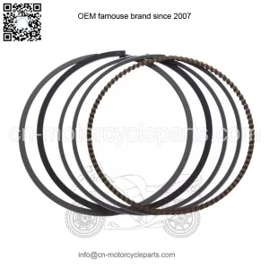 Kawasaki OEM 1986-2006 Vulcan Piston Ring Set New 13008-1077