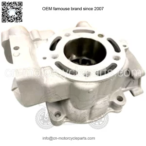 In 2014 - 2021 KAWASAKI KX85 KX 85 Engine Cylinder 11005-0749 New