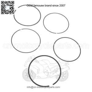 Kawasaki OEM Piston Ring Set New 13008-0015