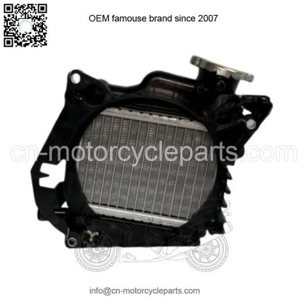 HONDA 2006 - 2024 RUCKUS 50 NPS50 OEM RADIATOR ASSY 19100-GGA-305 NEW