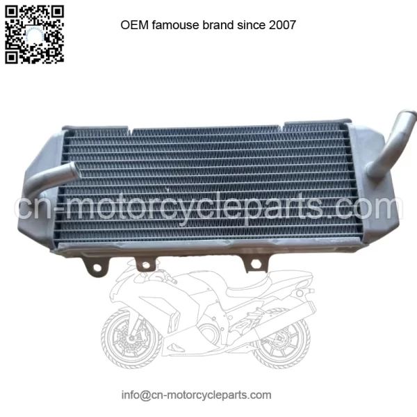 Kawasaki OEM New 39061-0820 Radiator-AssyLh
