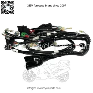HONDA WIRING WIRE HARNESS 2006 - 2023 RUCKUS NPS50 New 32100-GEZ-610