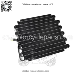 OEM HONDA 80111SL0A02 CONDENSER COMP., L. 80111-SL0-A02