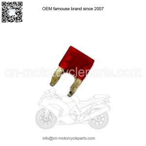 Polaris Ranger Ignition Fuse, 10 Amp,  OEM Part 2434016, Qty 1