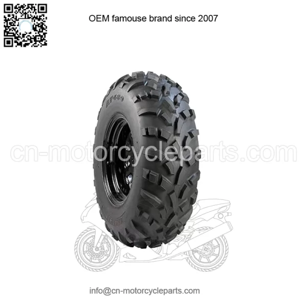 Polaris Tire, 25x10-12, NHS, 489, Part 5413961