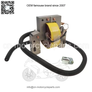 Ignition Coil Module for Briggs & Stratton 298968, 299366, 460-006, 460006