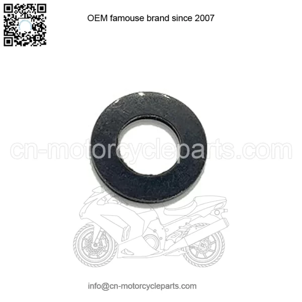 Polaris GEM Washer, 10.25 x 19.0 x 2.0, Nylon,  OEM Part 5439712, Qty 1