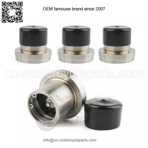 Trailer bearing oiler tool 2.717