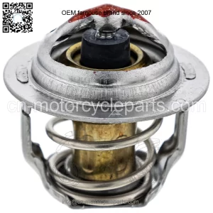 Polaris 3070697 ASSY THERMOSTAT