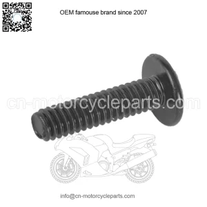SCREW, 1/4-20 X 1.0, BLACK