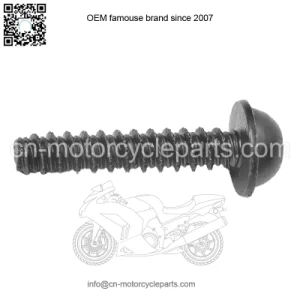 SCREW-M6-TORX-INTERLOCK THREAD