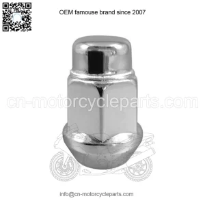 OEM Lug Nut 13/16 X 1/2 20 Ce