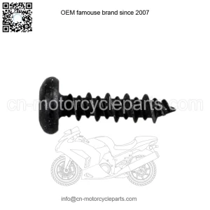 Polaris 7512026  OEM Engine Body Screw 1995-2019 Series 10 11 Ranger Ace General