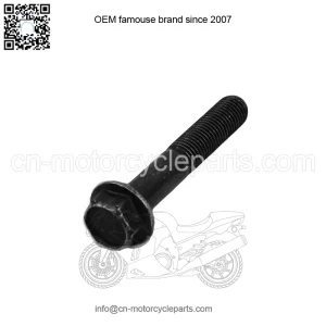 Polaris 7519306 M10X1.25X60 10.9 ZOD Screw 2011-2024 XP RZR Ranger 1000 900 570