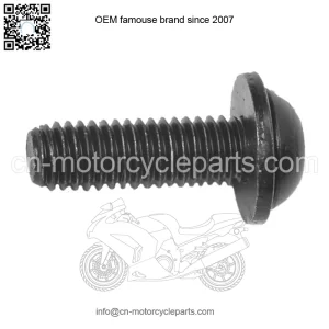 SCREW- M6 TORX BTTN HD SEMS