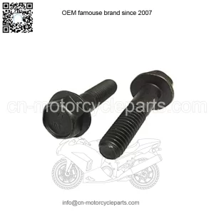 OEM Screw Hex Flange M8 X 35