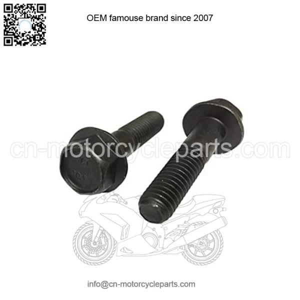 OEM Screw Hex Flange M8 X 35