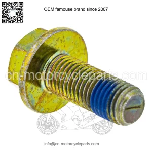 Polaris GEM Bolt with Patch, 10 mm x 1.25 mm x 25 mm,  OEM Part 7518760, Qty 1