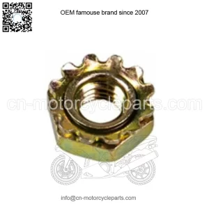 Polaris RZR NUTS-10-32 KEPS,  OEM Part 7547341, Qty 1
