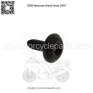 POLARIS OEM SCREW | 7518936