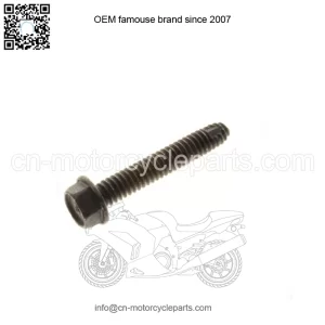 POLARIS OEM BOLT | 7518535