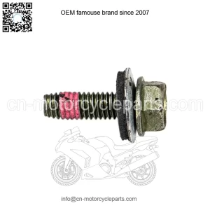 Polaris 7519278 ASM-BOLT WASHER20 MM RZR Ranger 1000 900 570 500 400 General