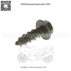 Polaris SCR-HXFL-M6X20 ZOD HI LO 7520055 OEM NEW