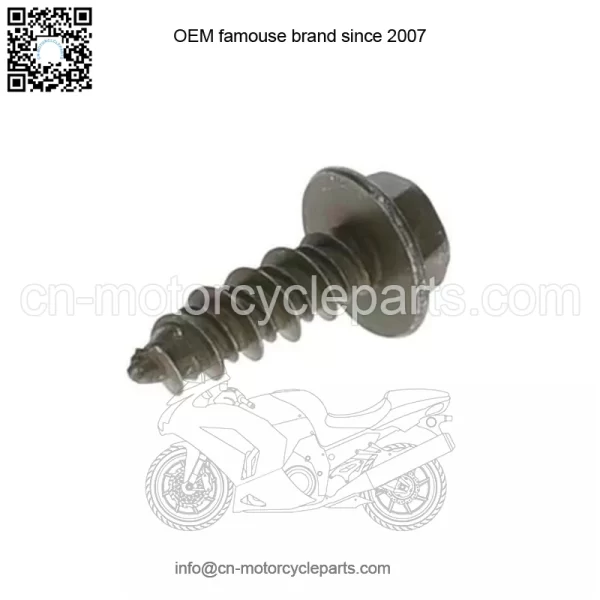 Polaris SCR-HXFL-M6X20 ZOD HI LO 7520055 OEM NEW