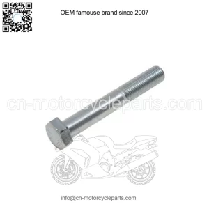 OEM Club Car 6mm X 25mm Hex Bolt