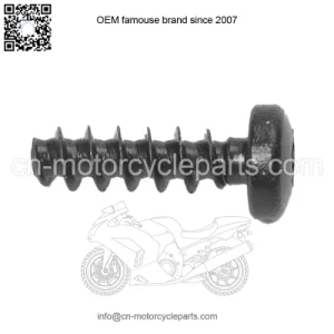 SCREW-TORX PAN HEAD PT- M6X20