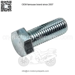 OEM Screw M10 X 25