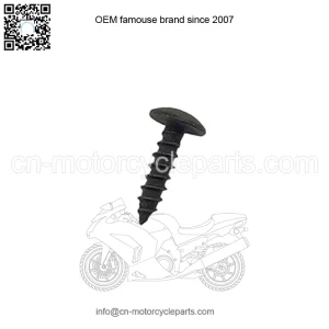 Polaris Ranger Screw,  OEM Part 7517561, Qty 1