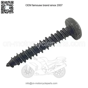 Polaris Ranger Screw,  OEM Part 7519149, Qty 1