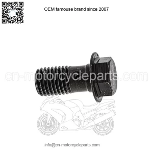 Polaris Ranger Banjo Bolt, 10 mm x 1.25-6G,  OEM Part 1910958, Qty 1