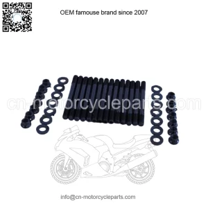 BMW E36 325i 2.5L 6 Cyl M50 S50US, S52US Cylinder Head Screw Set 201-4302