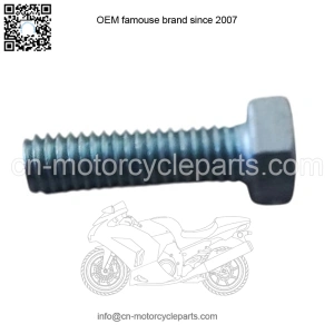 Screw for connecting plate
