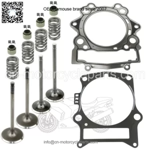 Cylinder Intake Exhaust Valve Kit for Yamaha Rhino 700 YXR700F Fi 2008-2013(For: Yamaha Rhino 700)