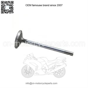 Intake Valve R84618 For John Deere 466, 496