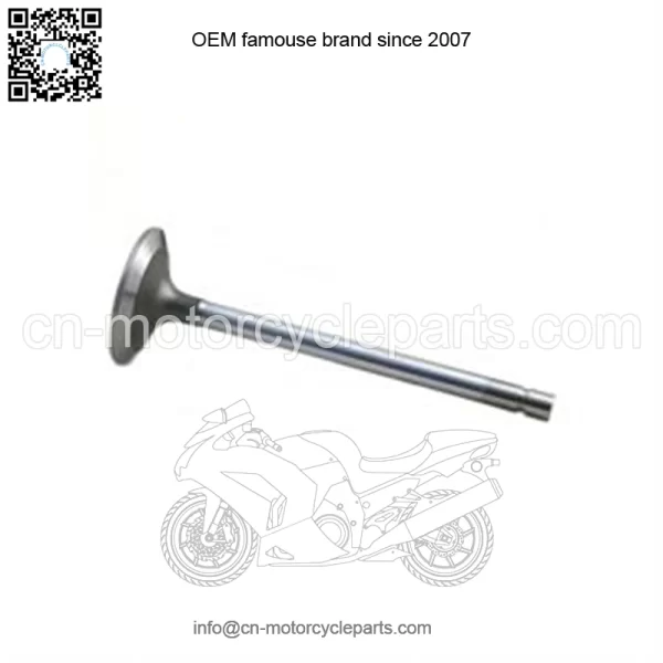Intake Valve R84618 For John Deere 466, 496