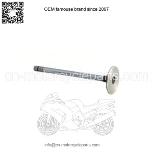 Exhaust Valve R84619 For John Deere 466, 496