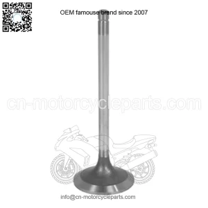 for R98062 Intake Valve Fits for John Deere 3100, 5105, 5200, 5205, 5210, 5220, 5300+